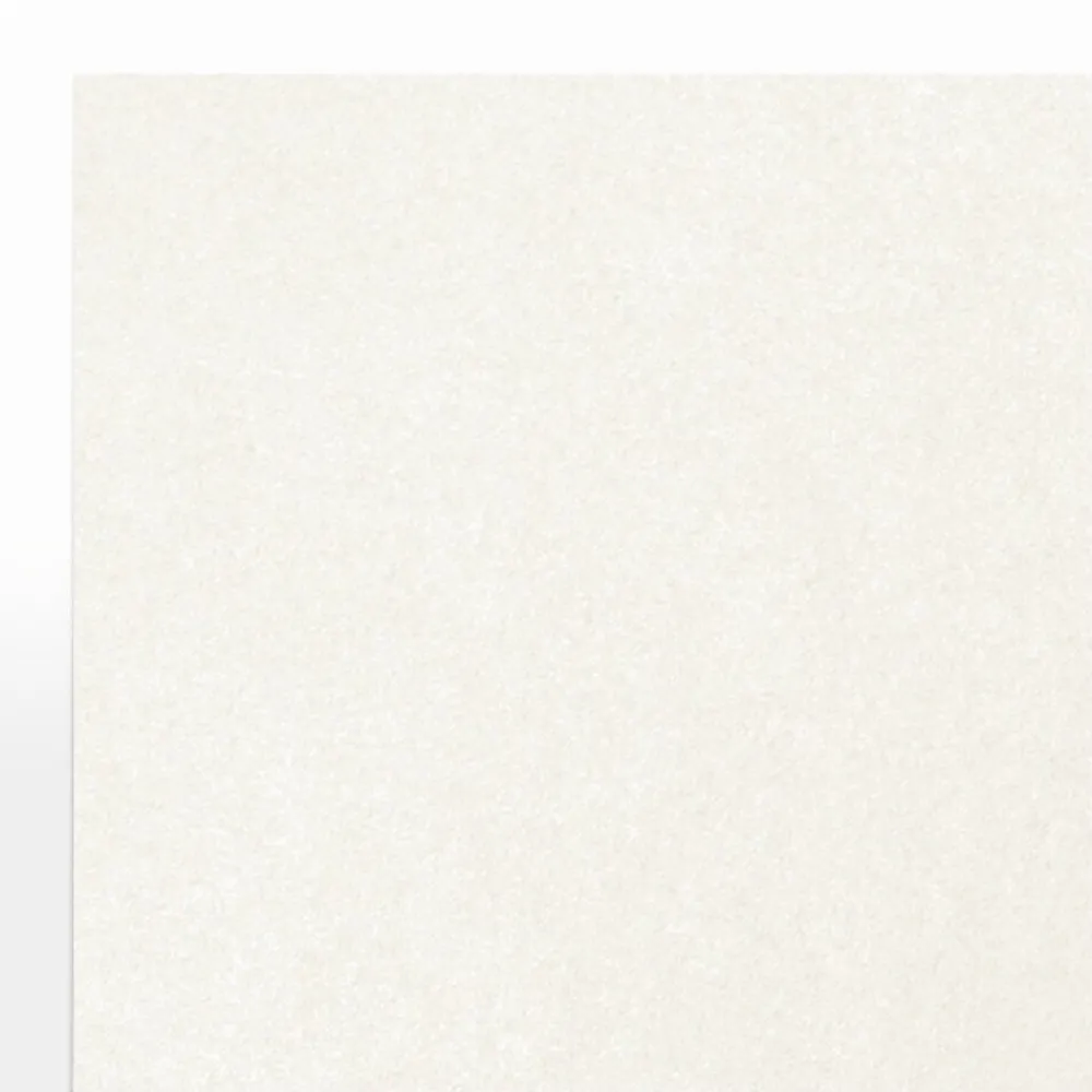 Card Stock*LUX 105 lb. Cardstock Paper, 8.5" x 11", Quartz Metallic, 1000 Sheets/Pack (81211-C-72-1000)