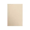 Card Stock*LUX 105 lb. Cardstock Paper, 13" x 19", Taupe Metallic, 500 Sheets/Pack (1319-C-M09-500)