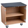 Storage Cabinets*National Public Seating NPS® 36"H Mobile Science Cabinet With Adjustable Height Shelf, High Black Top/Light Oak Frame (MSC24361)
