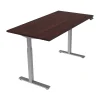 Standing Desks*Offices to go 42" Workstation Table, Dark Cherry (OTG22BNDADC)
