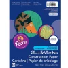 Construction Paper*Pacon 12" x 18" Construction Paper, Dark Brown, (PAC6807)