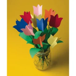 Construction Paper*Pacon Tru-Ray 9