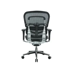 Office Chairs*RAYNOR GROUP Raynor Low Back Mesh Task Chair, Black (ME8ERGLO(N))