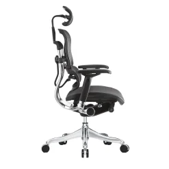 Office Chairs*Raynor Marketing Ergo elite Mesh Task Chair, Black (ME22ERGLT-BLK)
