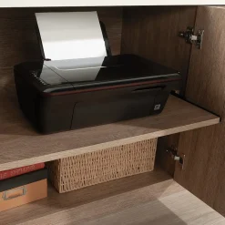 Storage Cabinets*Sauder Dixon City 30