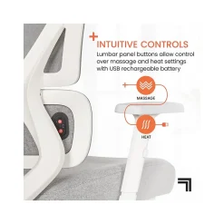 Office Chairs*Sharper Image S-850 Ergonomic Mesh Swivel Computer and Desk Chair, Light Gray/White (60106-LGRYWHT)