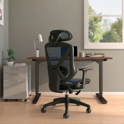 Ergonomic Chairs*Staples ® Dexley Ergonomic Mesh Swivel Task Chair, (UN59375) Blue