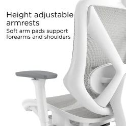 Office Chairs*Staples Dexley Ergonomic Mesh Swivel Task Chair, (UN61365) Gray
