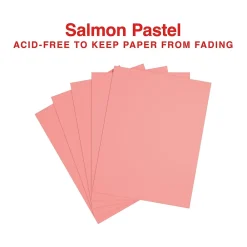 Multipurpose Paper*Staples Pastel 30% Recycled Color Copy Paper, 20 lbs., 8.5