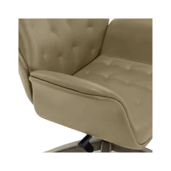 Office Chairs*Thomasville Furniture Brooks Ergonomic Bonded Leather Swivel Executive Chair, Taupe (51493-TP)