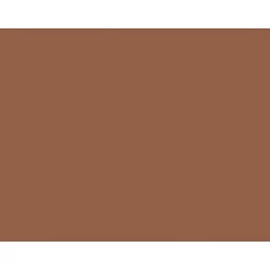 Construction Paper*Pacon Tru-Ray® Construction Paper, Warm Brown, 18" x 24", 50 Sheets Per Pack, 2 Packs (PAC103089-2)