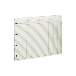Accounting & Record Journals*Wilson Jones Ledger Paper, Balance Ledger, 9 1/4" x 11 7/8", Green, 100 Sheets (WLJGN2D)